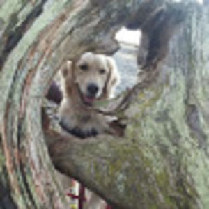 Meet your Posher, Roxanne